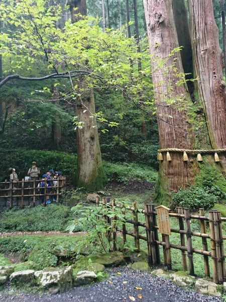 CS御岩神社参拝ハイキング