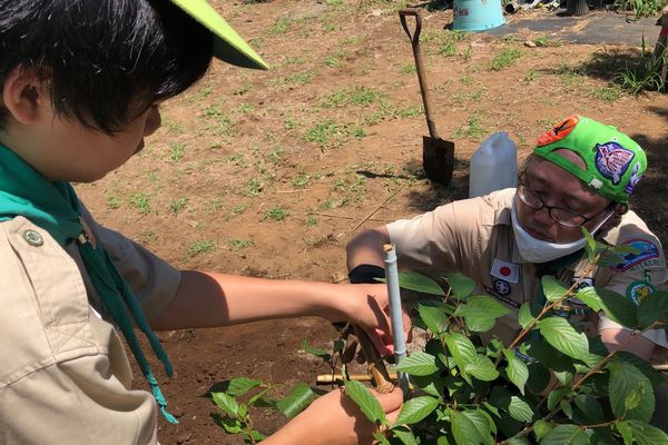 「アケーラの森」植樹