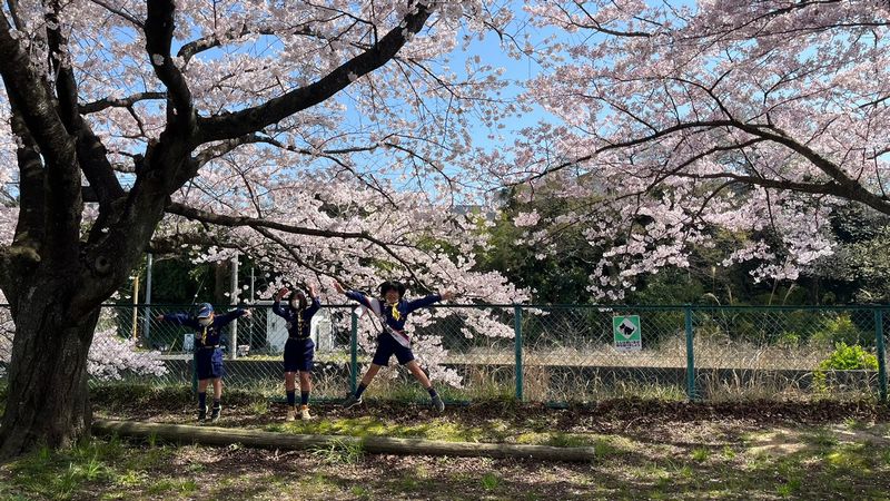 CSレクリエーション