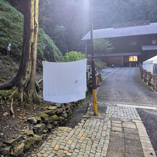CS夏の舎営