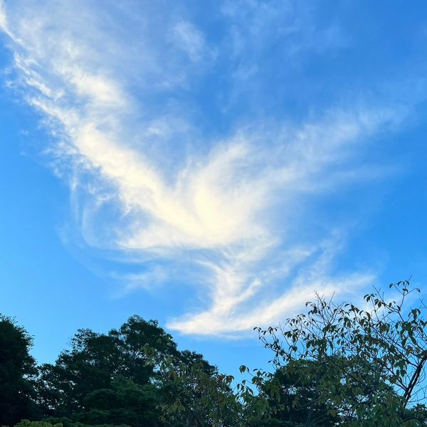 BS夏季野営