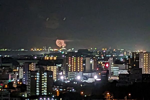 CSナイトハイク