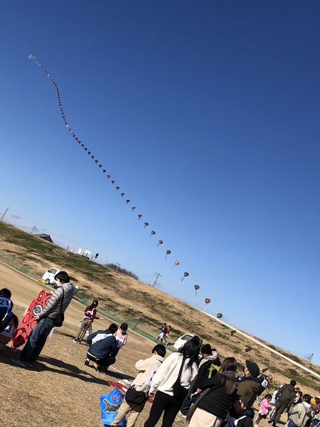 凧揚げ大会