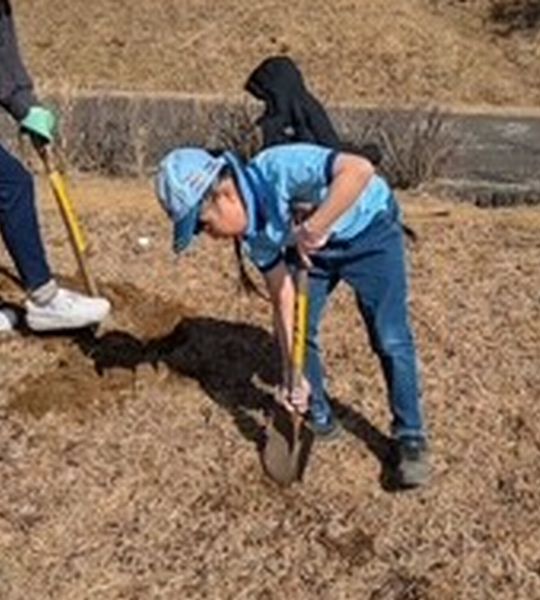 「かみね公園の桜を元気にする作業」奉仕活動