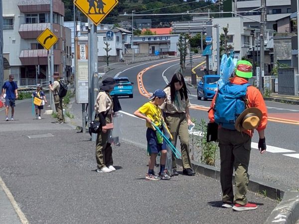 最近の活動写真