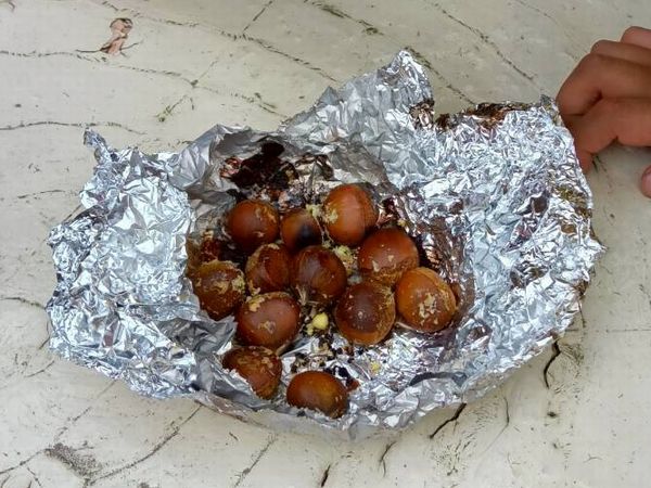 入隊式&釣りリベンジ&50周年記念BBQ