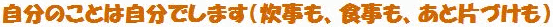 description_03