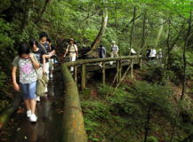 hiking
